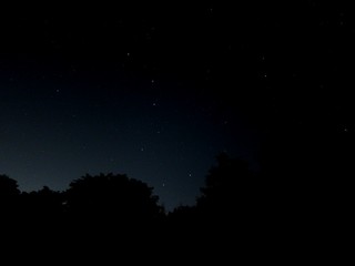 IMG_0786.jpg