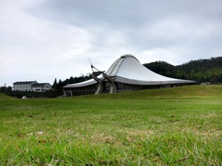 IMG_2477.jpg